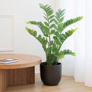 Artificial Plant